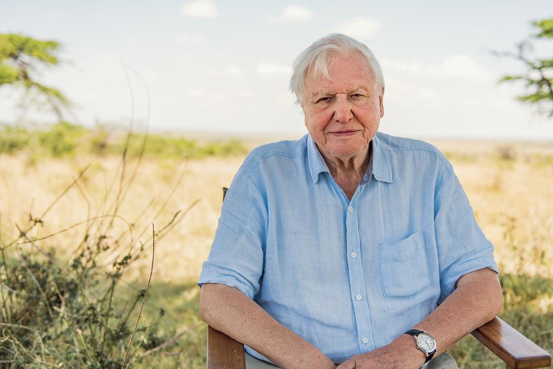 大卫·爱登堡:地球上的一段生命旅程 David Attenborough: A Life on Our Planet