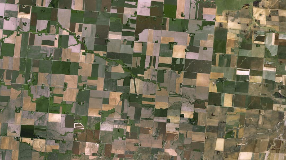 大卫·爱登堡:地球上的一段生命旅程 David Attenborough: A Life on Our Planet