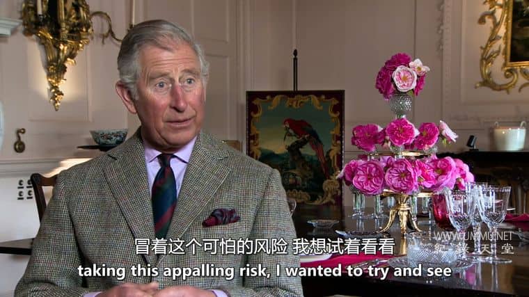 皇家大设计 A Grand Royal Design