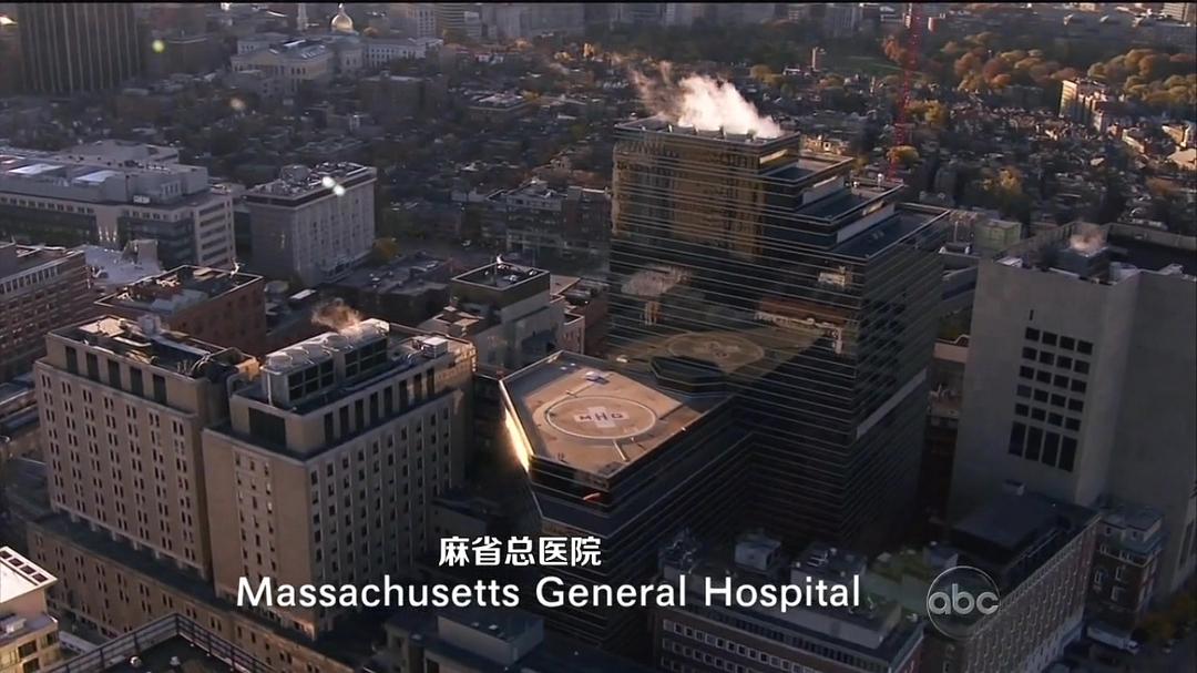 波士顿医务组 Boston Med