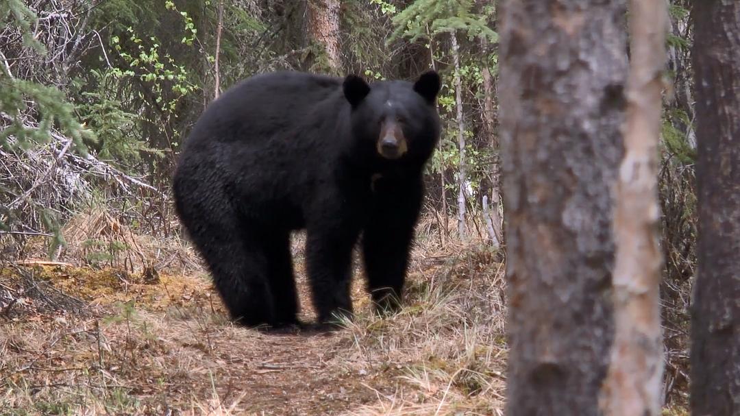 远离尘嚣——摆脱时间束缚的苏珊一家 All the Time In The World