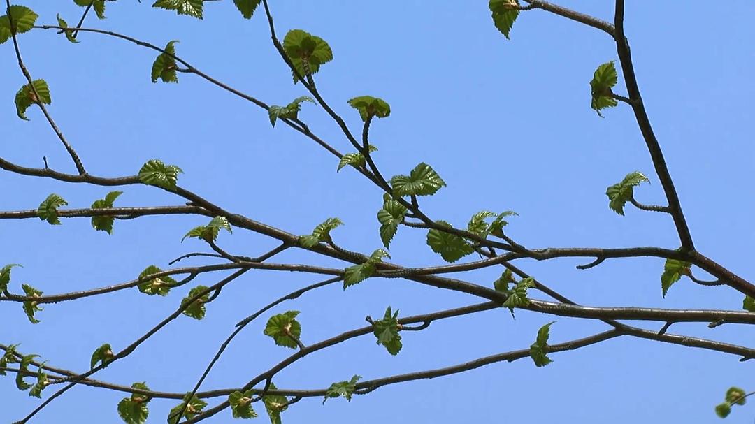 远离尘嚣——摆脱时间束缚的苏珊一家 All the Time In The World