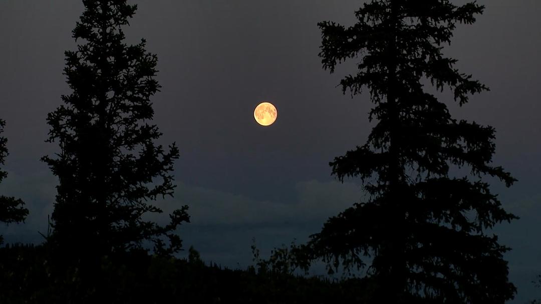 远离尘嚣——摆脱时间束缚的苏珊一家 All the Time In The World