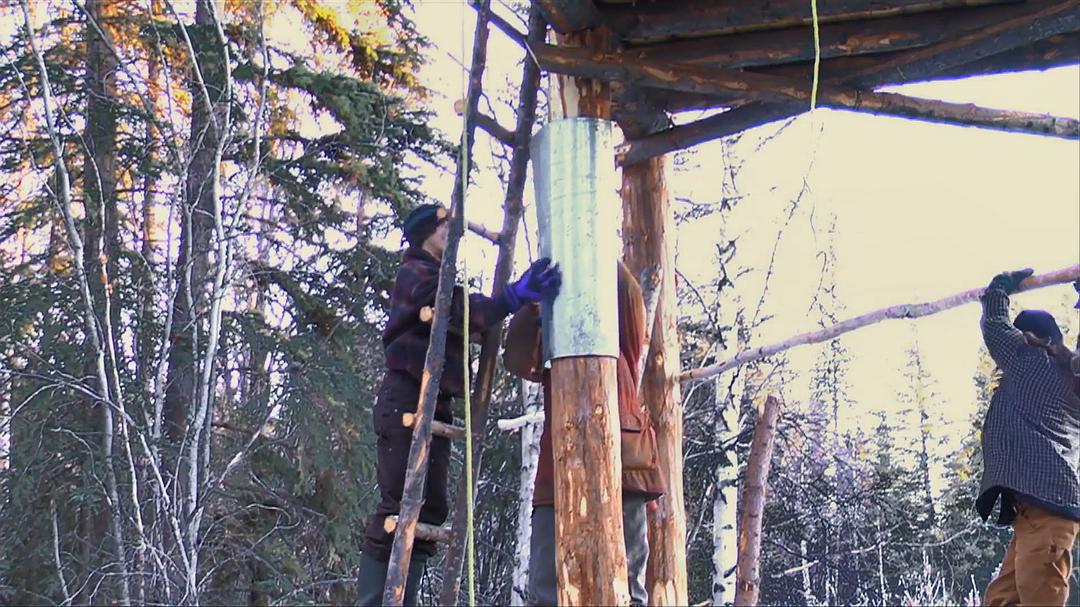 远离尘嚣——摆脱时间束缚的苏珊一家 All the Time In The World