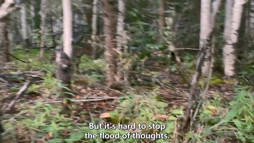 远离尘嚣——摆脱时间束缚的苏珊一家 All the Time In The World