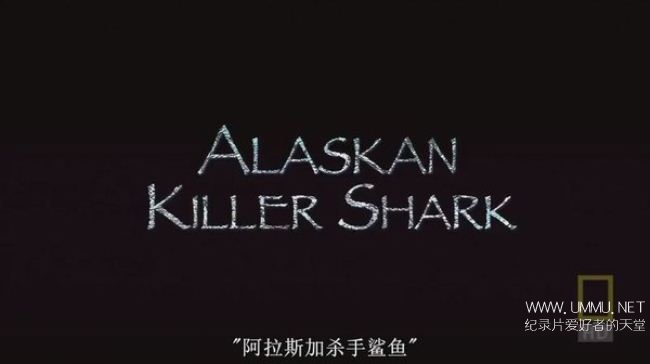 阿拉斯加杀手鲨鱼 Alaskan Killer Shark