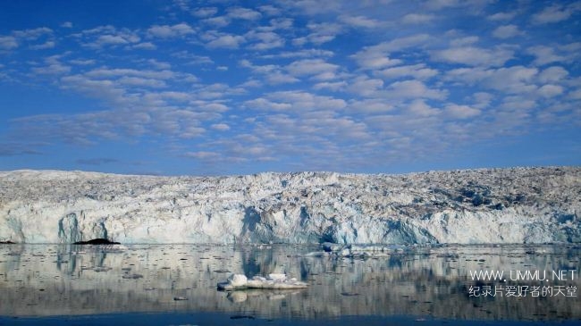 阿拉斯加杀手鲨鱼 Alaskan Killer Shark