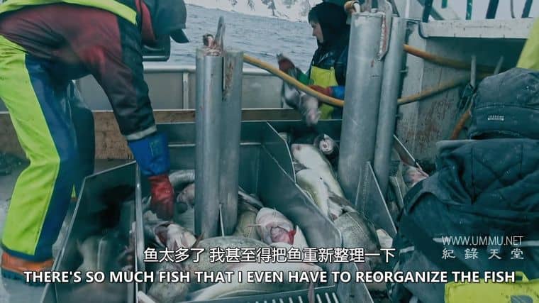 北冰洋 Arctic Waters