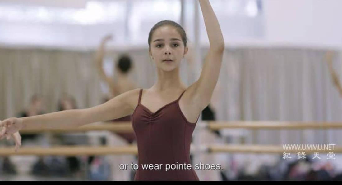 微妙的平衡 A Delicate Balance