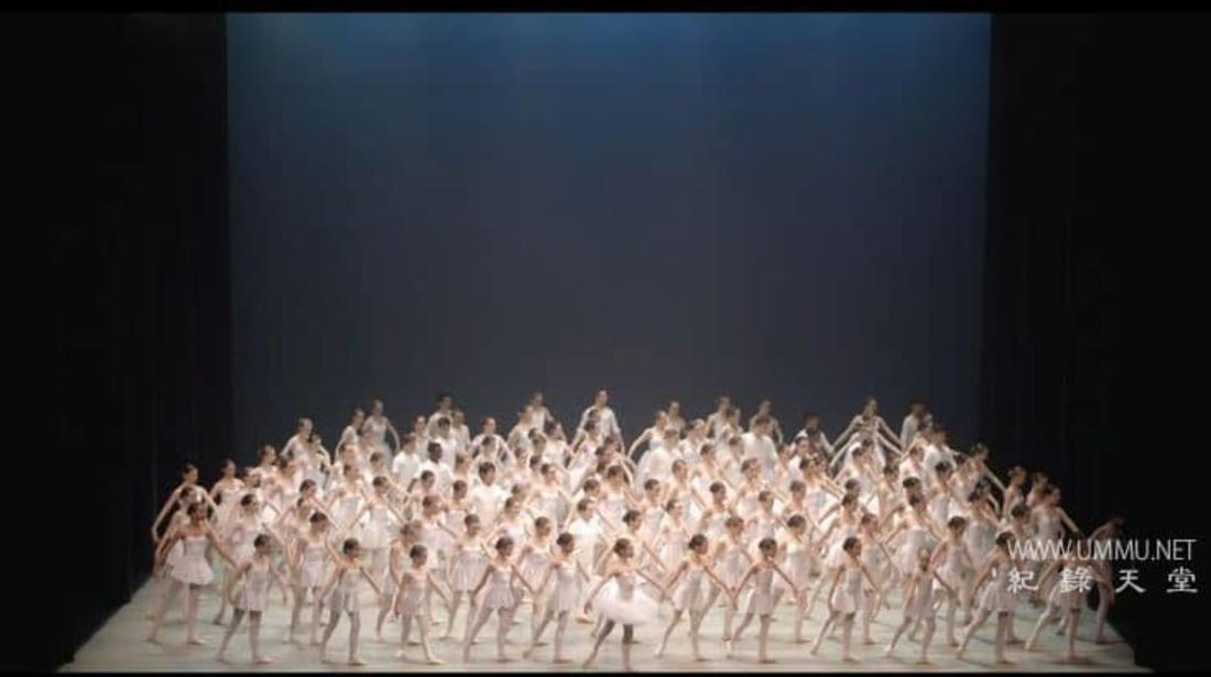 微妙的平衡 A Delicate Balance