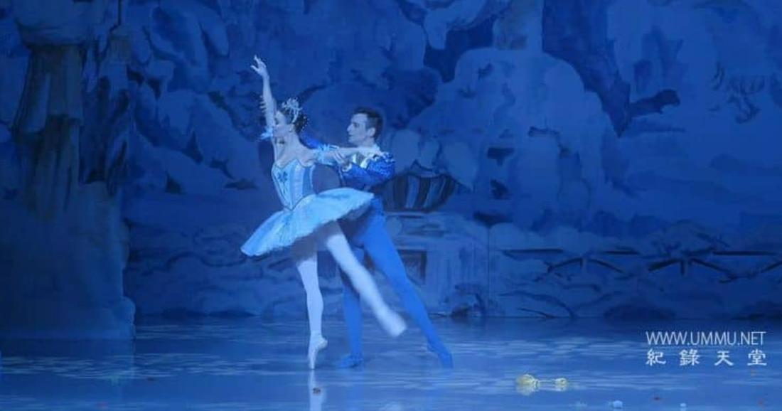 微妙的平衡 A Delicate Balance