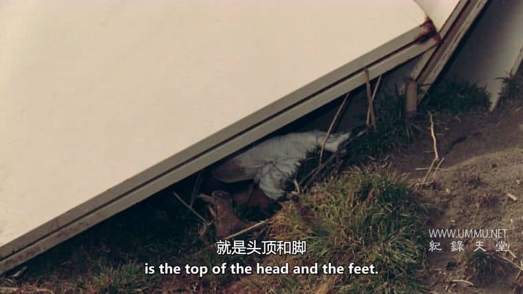 美国悲剧 An American Tragedy