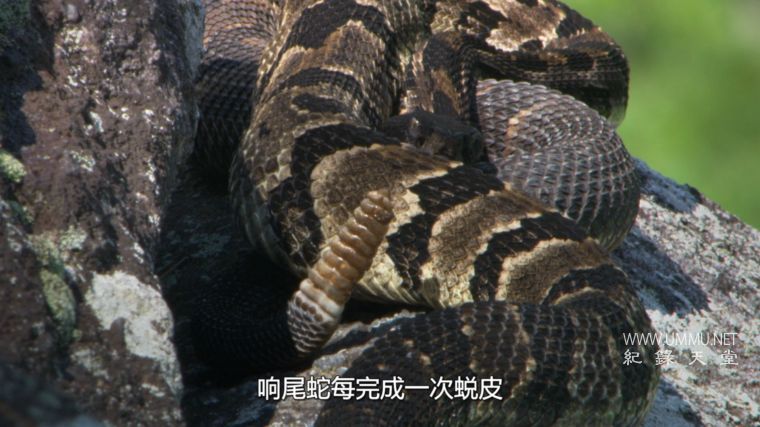 美国国家公园 Americas National Parks