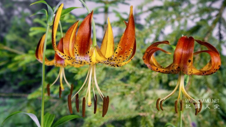 美国国家公园 Americas National Parks