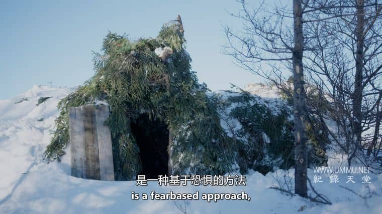 荒野独居:冰天雪地 Alone: Frozen