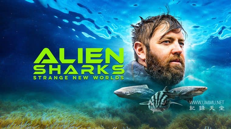 外星鲨鱼:奇怪的新世界 Alien Sharks: Strange New Worlds
