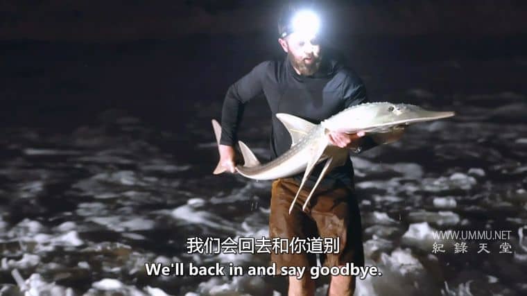 外星鲨鱼:奇怪的新世界 Alien Sharks: Strange New Worlds