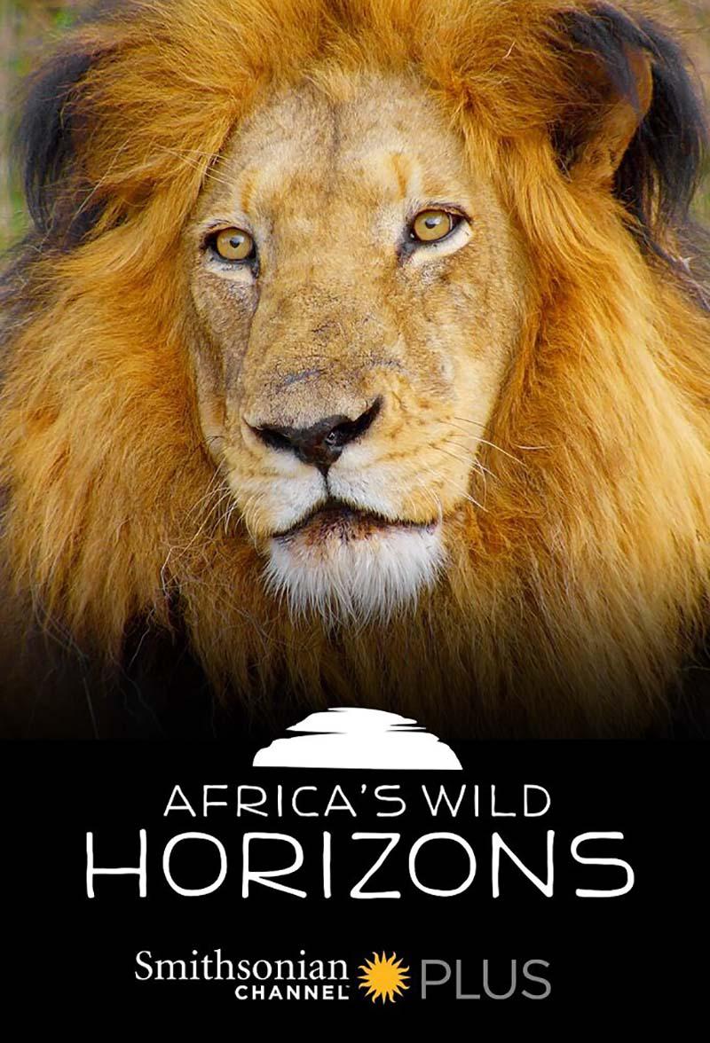 非洲狂野地平线 Africa's Wild Horizons