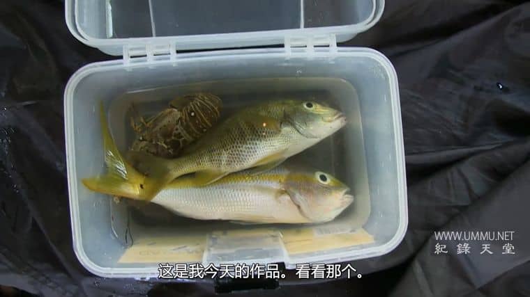 独闯荒野 Alone in the Wild