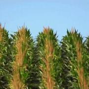 鸟瞰美国/航拍美利坚 Aerial America 2009-