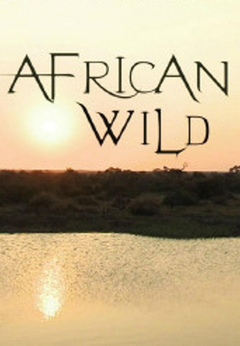 野性大地——非洲 African Wild