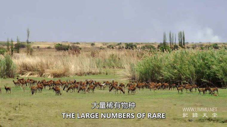 俯瞰非洲 Aerial Africa