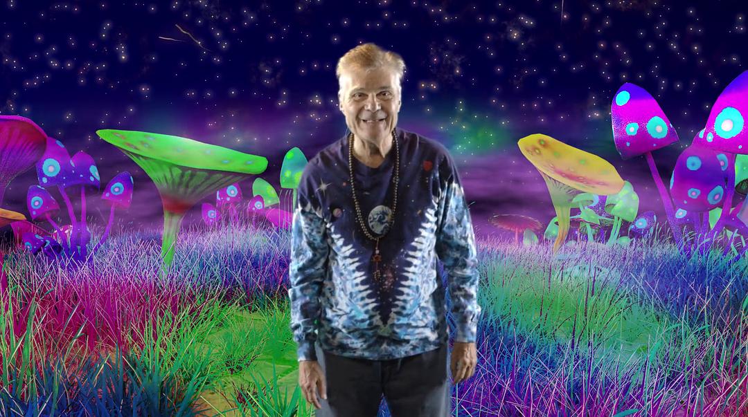 一路顺疯:迷幻趣事 Have a Good Trip: Adventures in Psychedelics