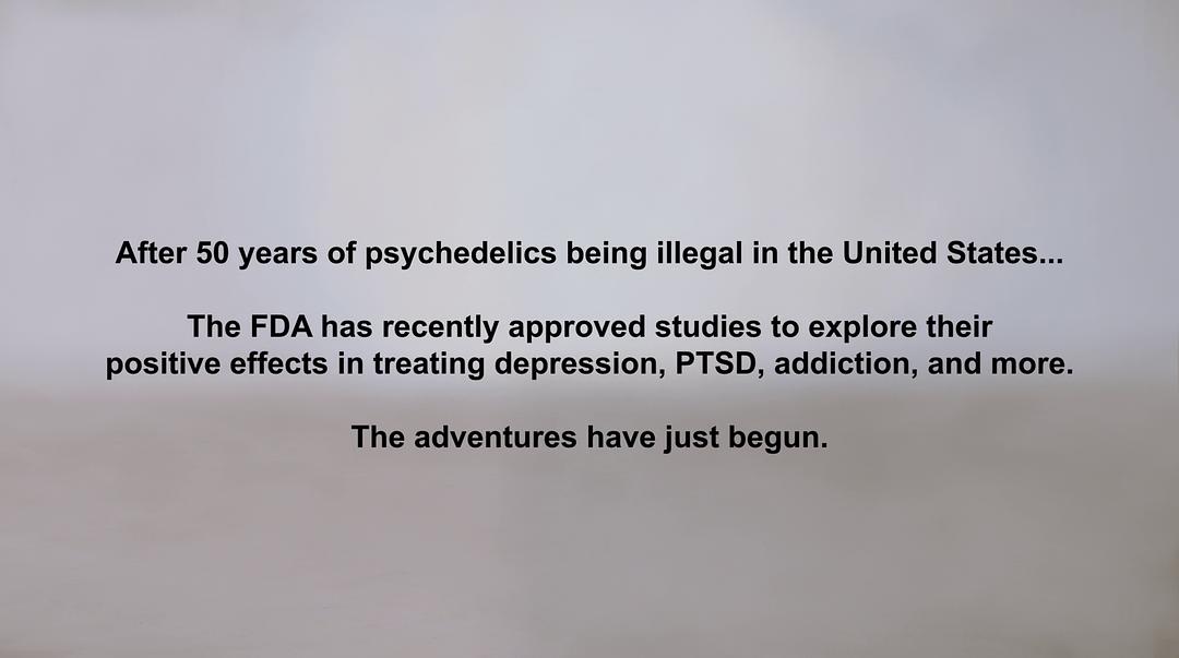 一路顺疯:迷幻趣事 Have a Good Trip: Adventures in Psychedelics