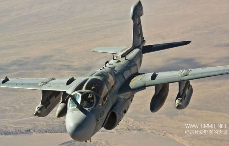 空中武士:徘徊者/咆哮者 Air Warriors: Prowler/Growler