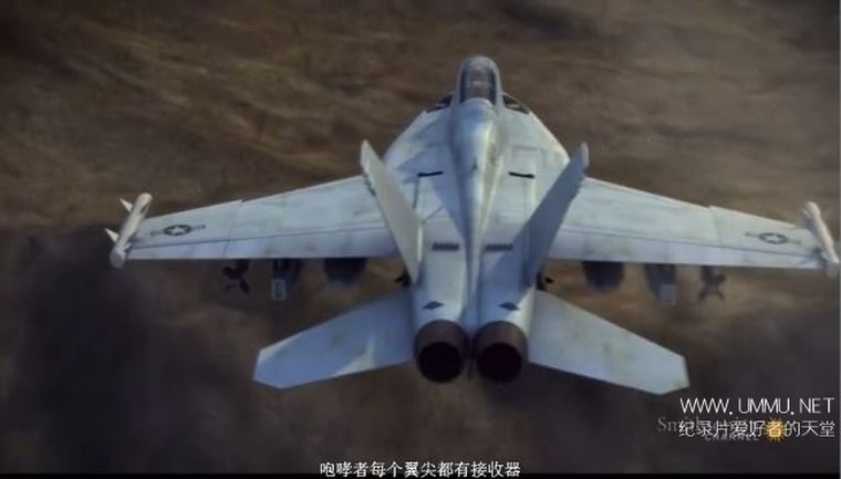 空中武士:徘徊者/咆哮者 Air Warriors: Prowler/Growler
