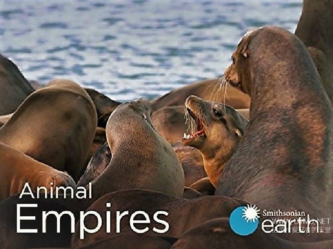 动物帝国 Animal Empires