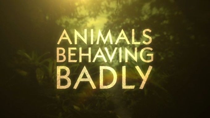 动物举止背后的谎言 Animals Behaving Badly