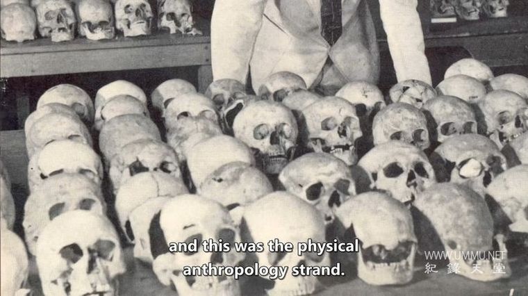 奥汉隆地区:古墓丽影 Ardal O'Hanlon: Tomb Raider