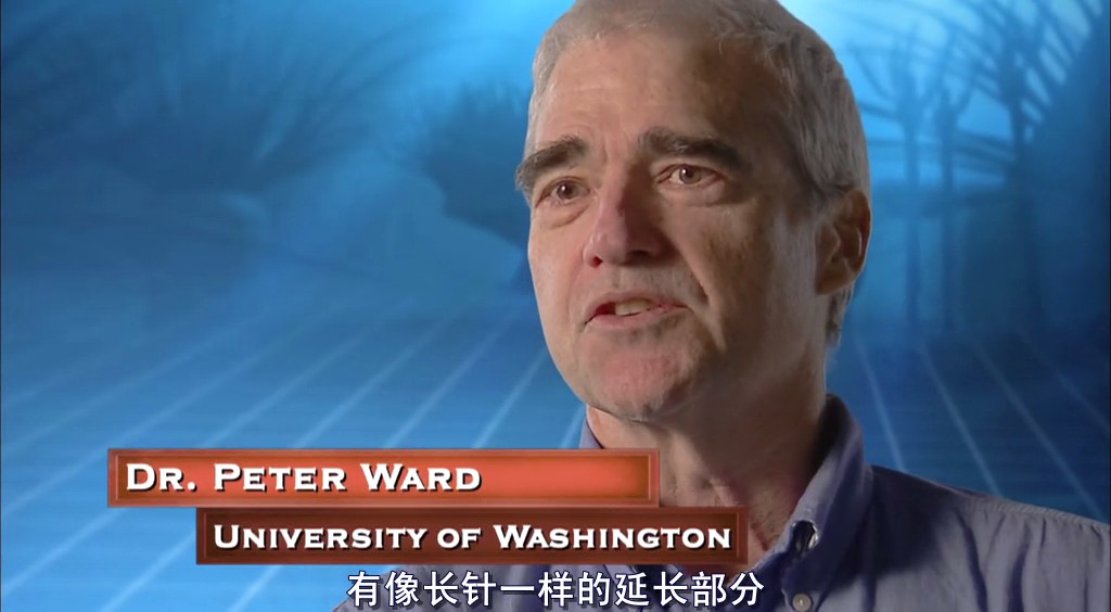 动物的末日 Animal Armageddon