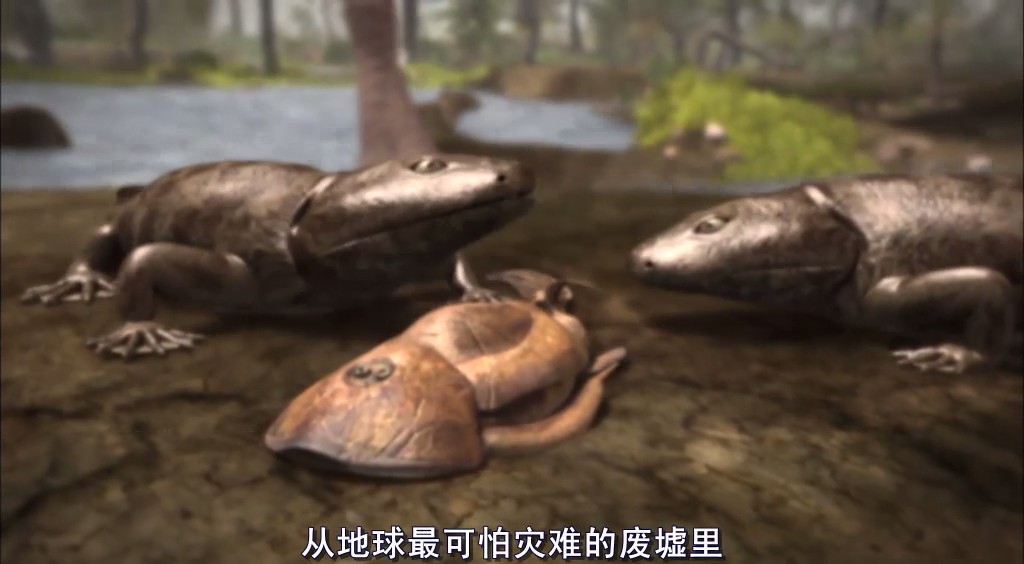 动物的末日 Animal Armageddon