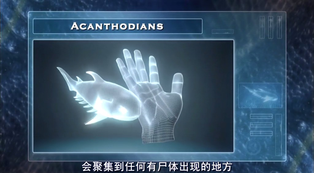 动物的末日 Animal Armageddon