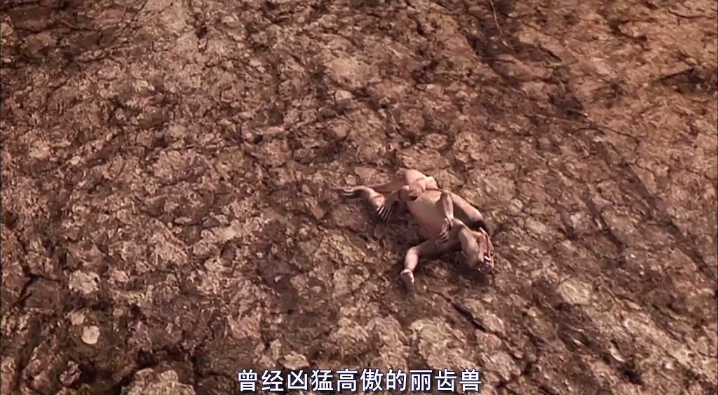 动物的末日 Animal Armageddon