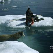 北极传说 Arctic Tale