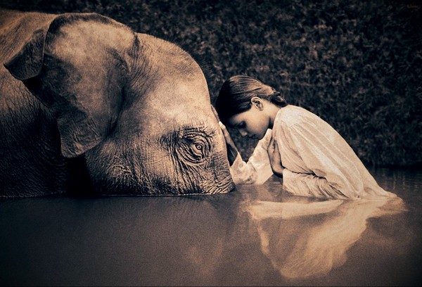 尘与雪 Ashes and Snow