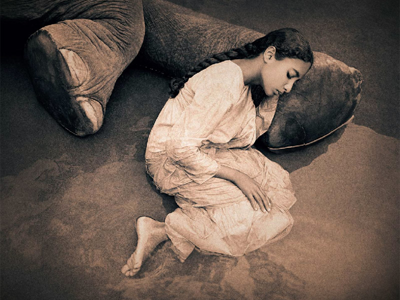 尘与雪 Ashes and Snow