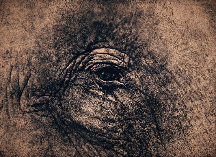 尘与雪 Ashes and Snow