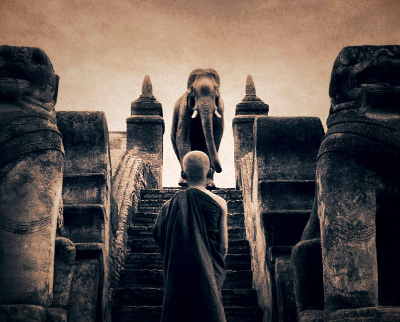 尘与雪 Ashes and Snow