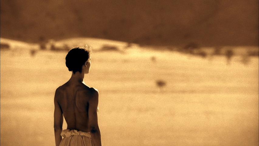 尘与雪 Ashes and Snow