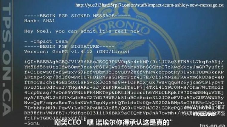 网络战 攻击偷情网站 Cyberwar: Ashley Madison Hack