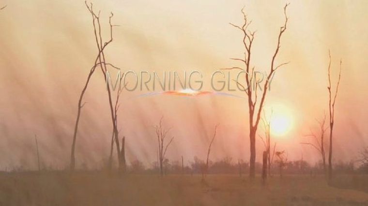 清晨的盛赞 Morning Glory