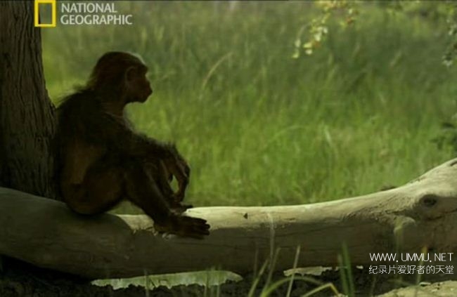 寻找人类始祖 Ape Man Search for the First Human