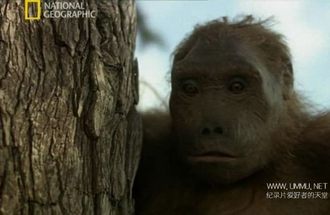 寻找人类始祖 Ape Man Search for the First Human