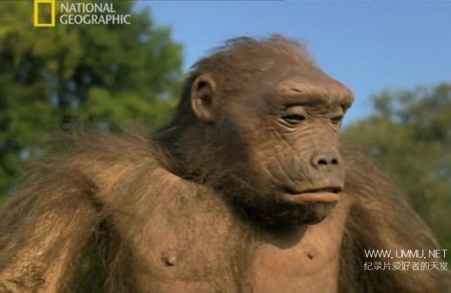 寻找人类始祖 Ape Man Search for the First Human