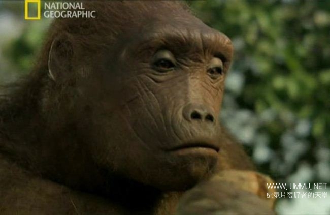 寻找人类始祖 Ape Man Search for the First Human