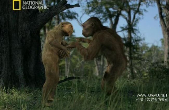 寻找人类始祖 Ape Man Search for the First Human